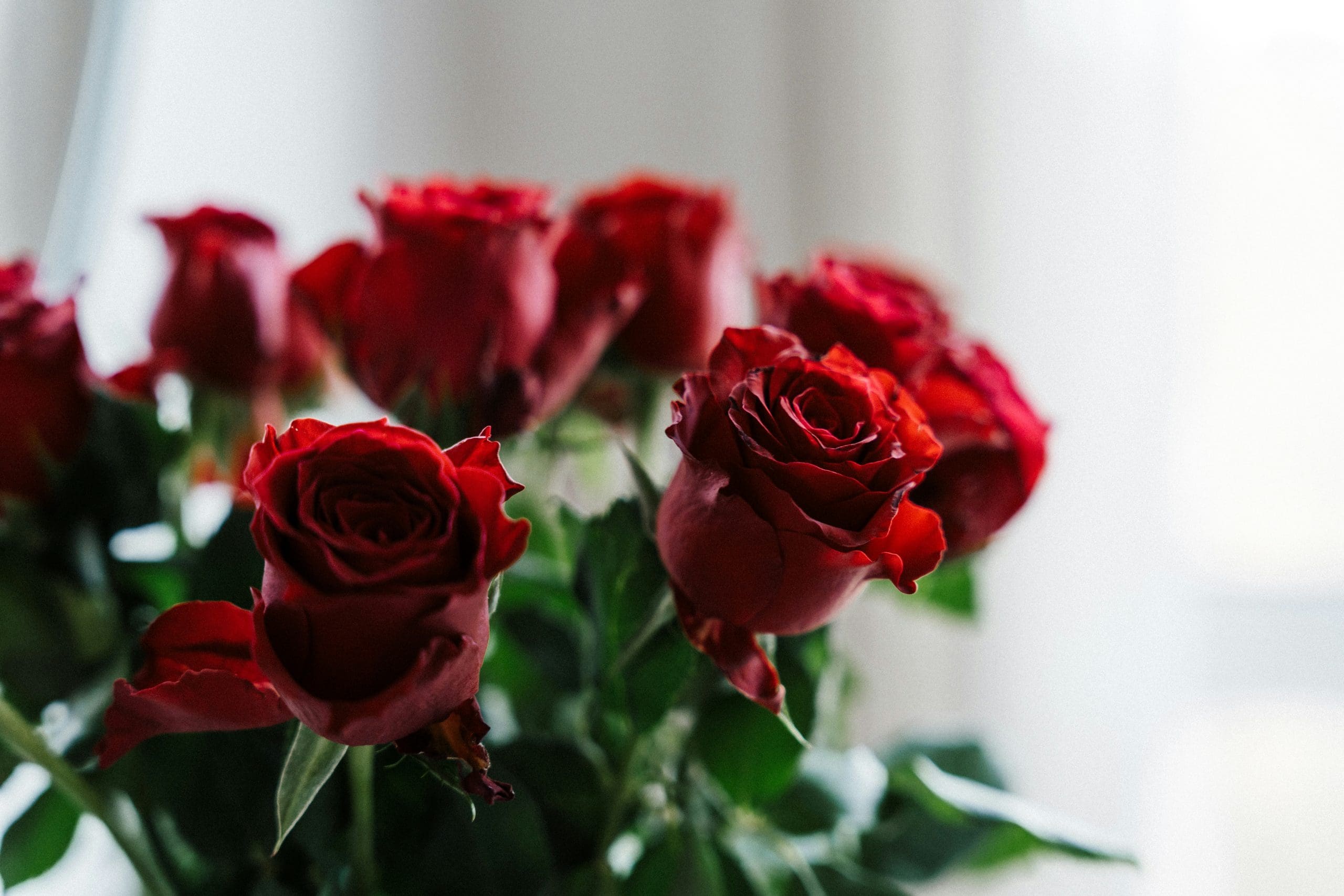 How International Flower Delivery Works: From Order To Delivery 2 How International Flower Delivery Works: From Order To Delivery