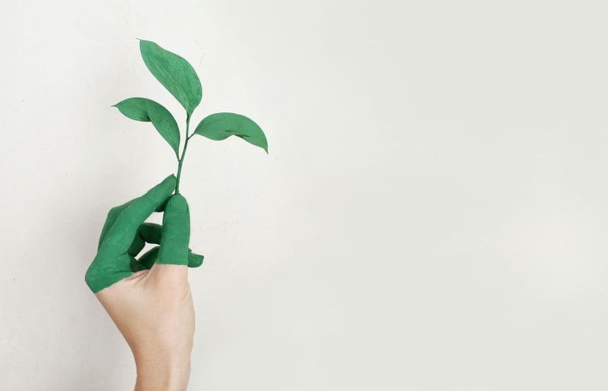 How Sustainable Choices Can Improve Your Health