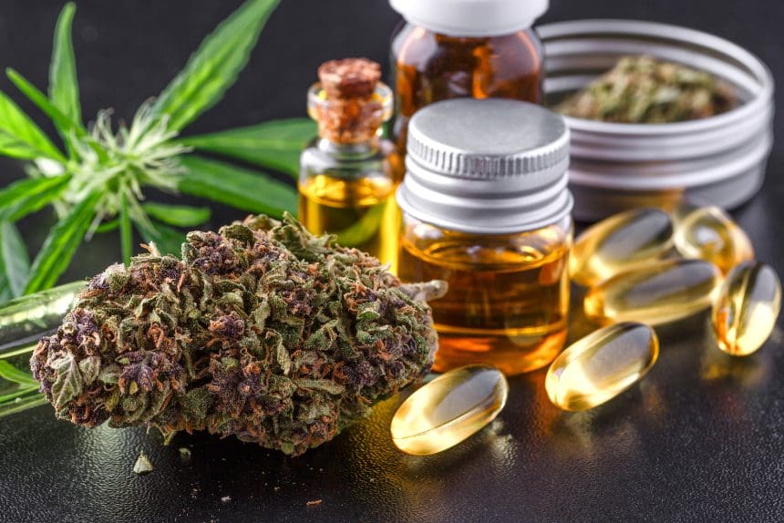 Reason To  Choose Lab-Tested Indica Flower From Trusted Dispensaries in Chicago
