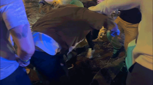 spring break fort lauderdale florida brawl