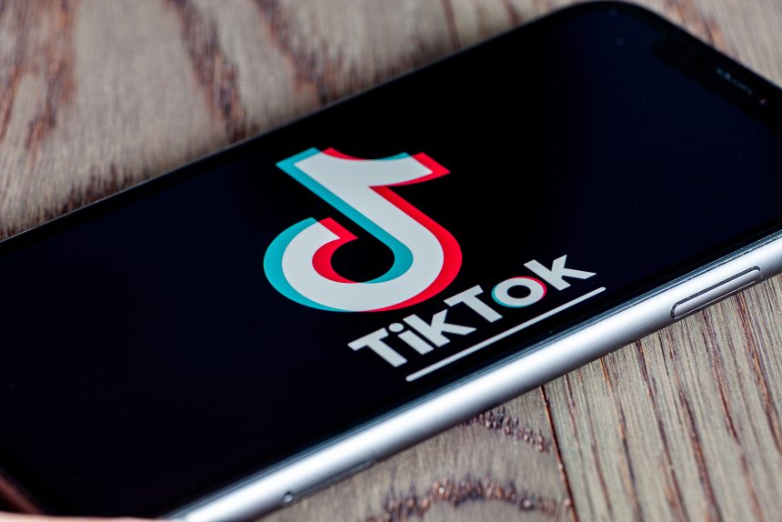 How to Build TikTok Followers Without Waiting Months